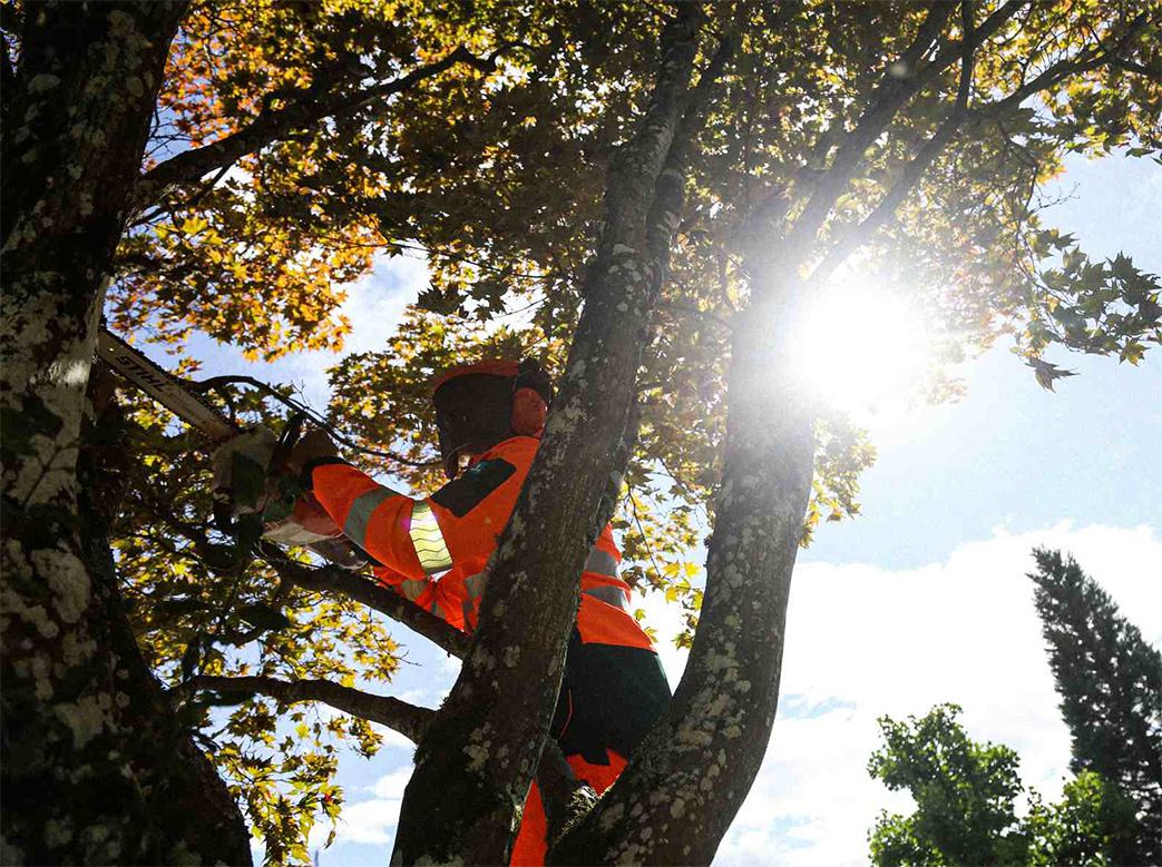 arbeitskleider forst