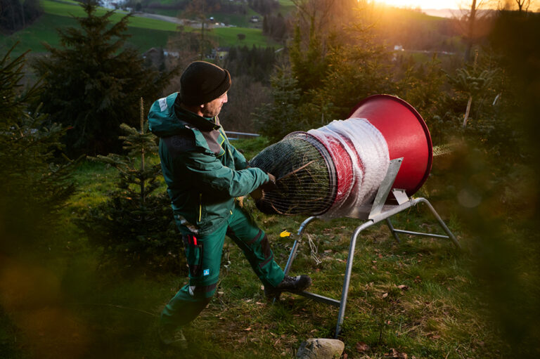 Ready für den Weihnachtswald!